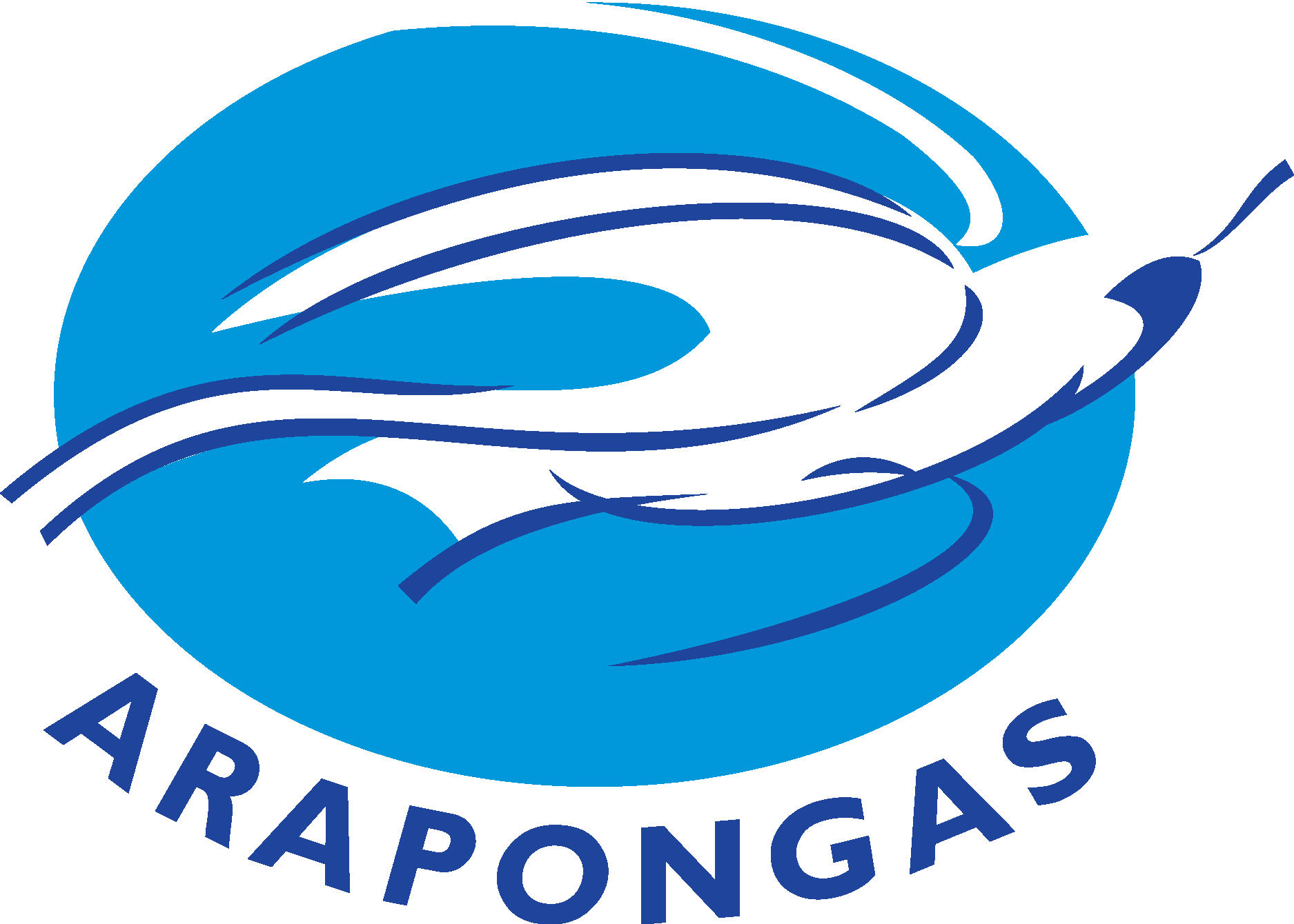 Associacao Atletica Arapongas De Arapongas PR Logo Vector Logo